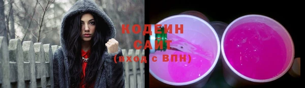 ECSTASY Алзамай