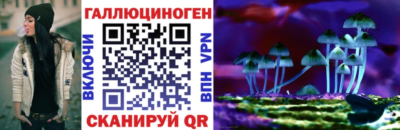 Псилоцибиновые грибы мухоморы  дарнет шоп  Владимир 
